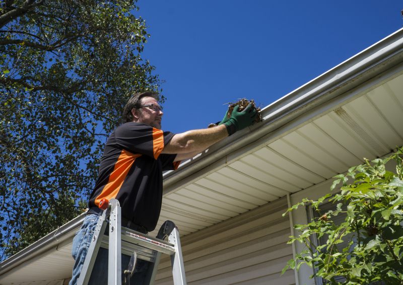 Climbing Ladders for Gutter Access